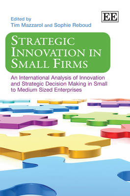 Strategic Innovation in Small Firms