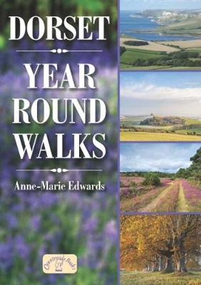 Dorset Year Round Walks