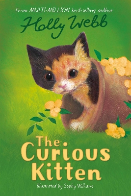 The Curious Kitten