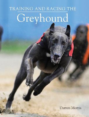 Training and Racing the Greyhound