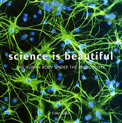 Science is Beautiful: The Human Body