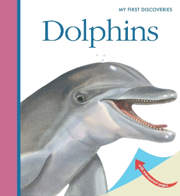 Dolphins