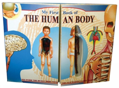 My First Book of the Human Body