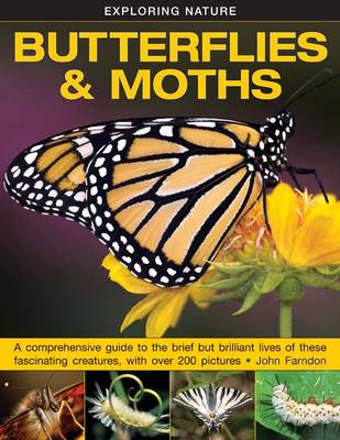 Exploring Nature: Butterflies & Moths