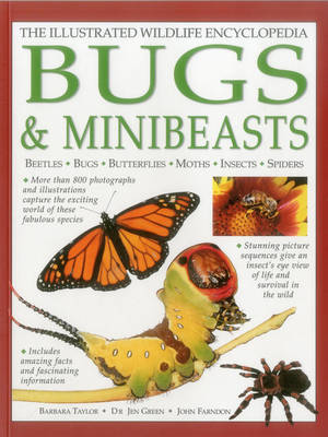 Bugs & Minibeasts