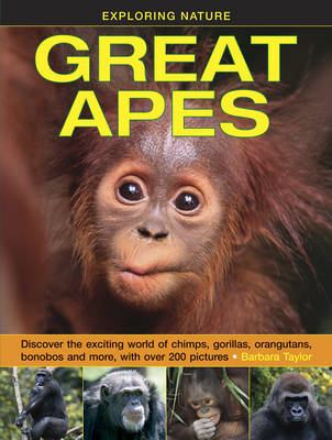 Great Apes