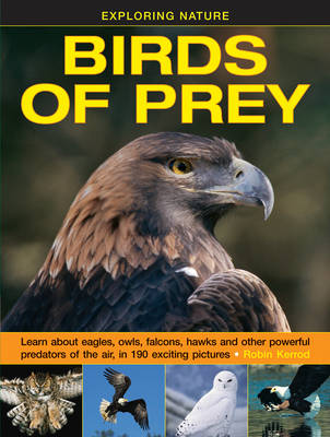 Birds of Prey