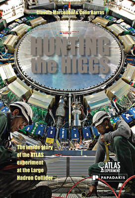 Hunting the Higgs