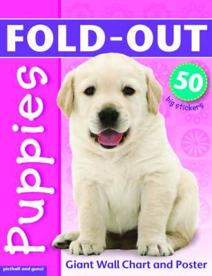 Fold-Out Poster Sticker Book