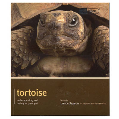 Tortoise - Pet Expert