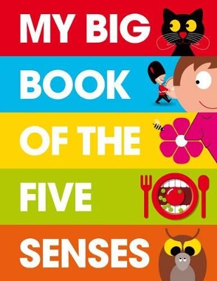 My Big Book of the Five Senses