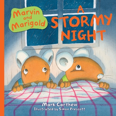 A Stormy Night