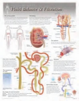 Fluid Balance & Filtration Laminated Poster