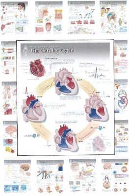 Complete Set of All 20 Physiology Charts