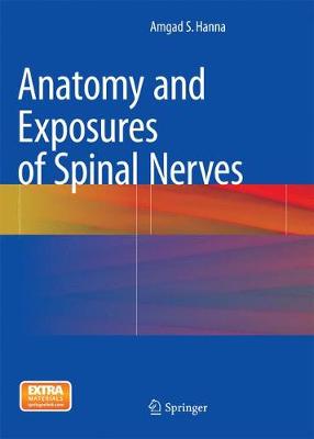 Anatomy and Exposures of Spinal Nerves