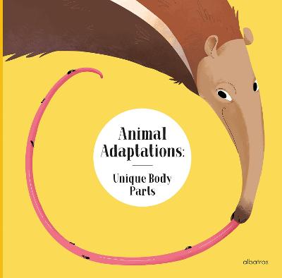 Animal Adaptations