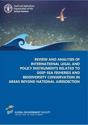 Review and analysis of international legal and policy instruments related to deep-sea fisheries and biodiversity conservation in areas beyond national jurisdiction