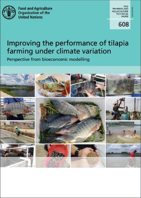Improving the performance of Tilapia