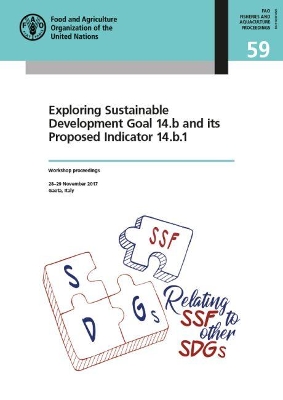 Exploring sustainable development goal 14.b and its proposed indicator 14.b.1