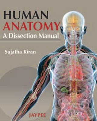 Human Anatomy