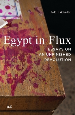 Egypt in Flux