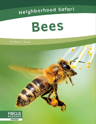 Bees. Paperback