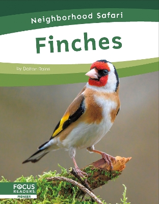 Finches. Paperback