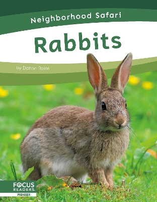 Rabbits. Paperback