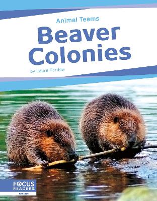 Beaver Colonies. Paperback