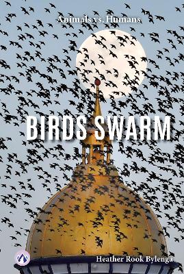 Birds Swarm. Paperback