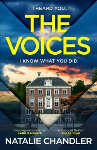 Book Cover for The Voices by Natalie Chandler