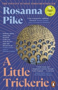 Book Cover for A Little Trickerie by Rosanna Pike