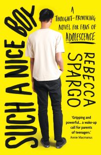 Book Cover for Such a Nice Boy by Rebecca Spargo