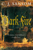 Book Cover for Dark Fire by C. J. Sansom