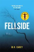 Book Cover for Fellside by M. R. Carey