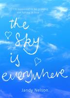 Book Cover for The Sky is Everywhere by Jandy Nelson