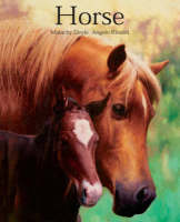 Book Cover for Horse by Malachy Doyle