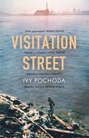 Book Cover for Visitation Street by Ivy Pochoda