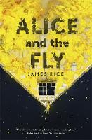 Book Cover for Alice and the Fly by James Rice