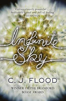 Book Cover for Infinite Sky by C. J. Flood