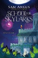 Book Cover for School for Skylarks by Sam Angus