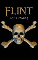 Book Cover for Flint by Chris Powling