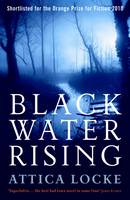 Book Cover for Black Water Rising by Attica Locke