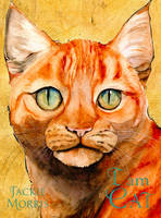 Book Cover for I am Cat by Jackie Morris