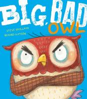 Book Cover for Big, Bad Owl by Steve Smallman