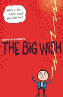 Book Cover for Big Wish by Brandon Robshaw