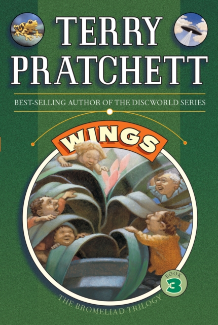 Book Cover for Wings by Terry Pratchett