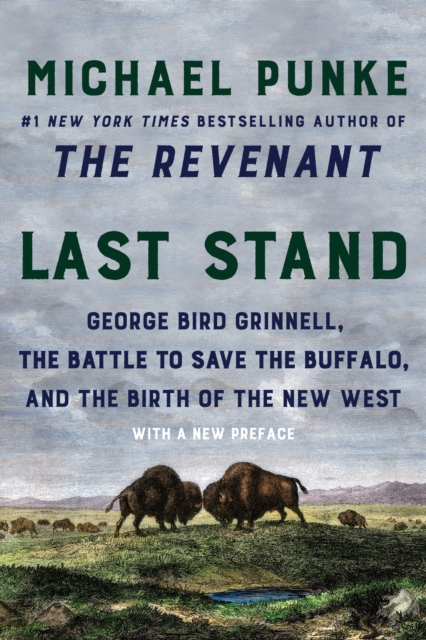 Book Cover for Last Stand by Michael Punke