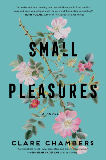 Book Cover for Small Pleasures by Clare Chambers