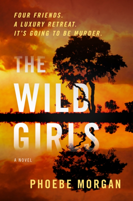 Book Cover for Wild Girls by Phoebe Morgan